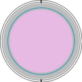 Thumbnail for version as of 14:39, 13 May 2021